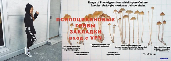 винт Карпинск