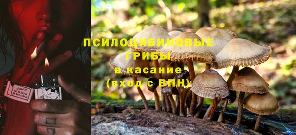 винт Карпинск