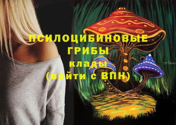 сатива Киреевск