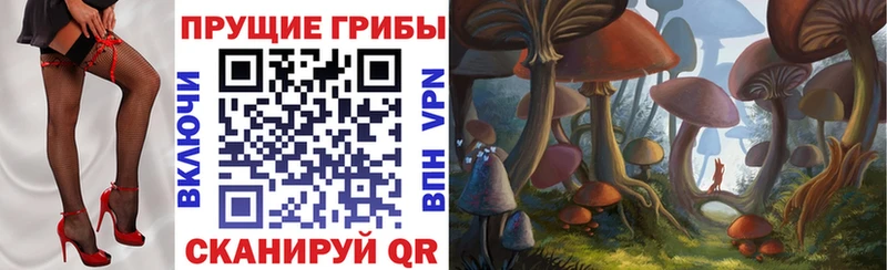 Псилоцибиновые грибы Psilocybe  цены   Ковылкино 